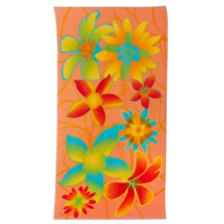 Beach Towels