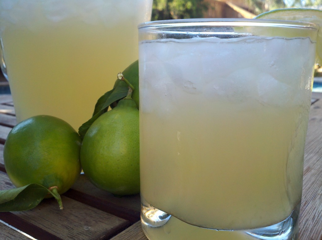 Fresh Lime Margarita Recipe