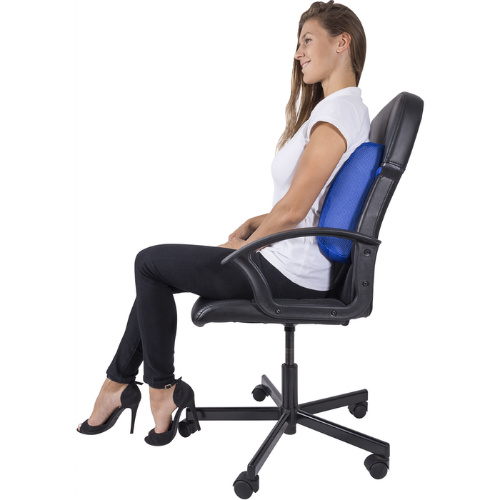 PharMeDoc Lumbar Support Pillow