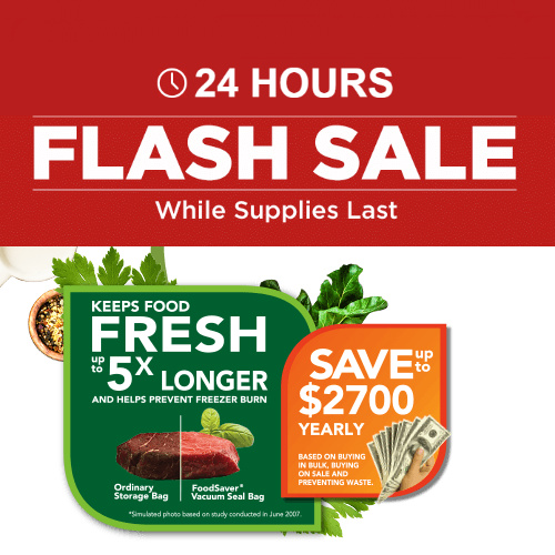 foodsaver flash sale