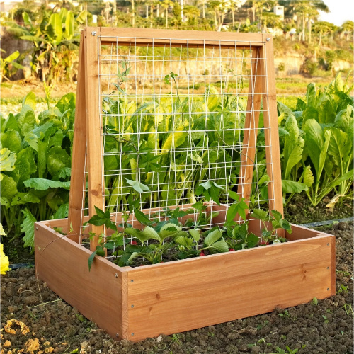 garden box with trellis