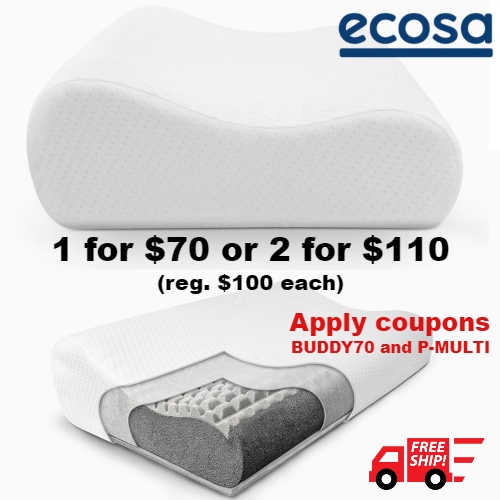 ecosa pillow