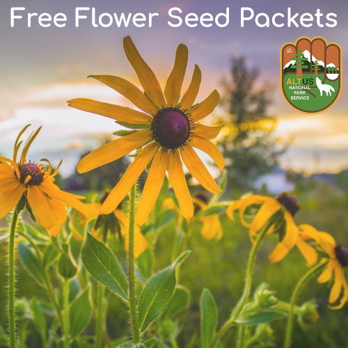 Free Flower Seed Packets