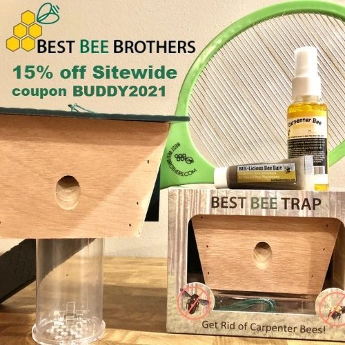 Best Bee Brothers Coupon