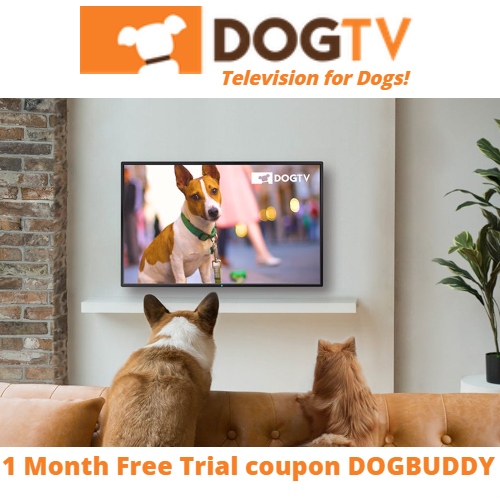 DogTV Coupon