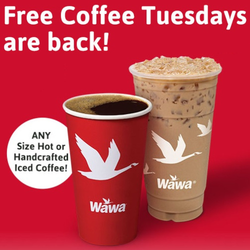 wawa free coffee tuesdays