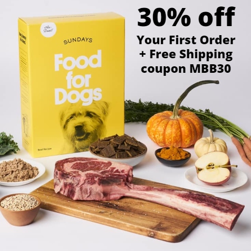 Sundays for Dogs Coupon