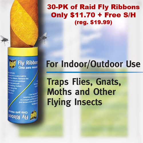 Raid Flying Insect Catcher Ribbons