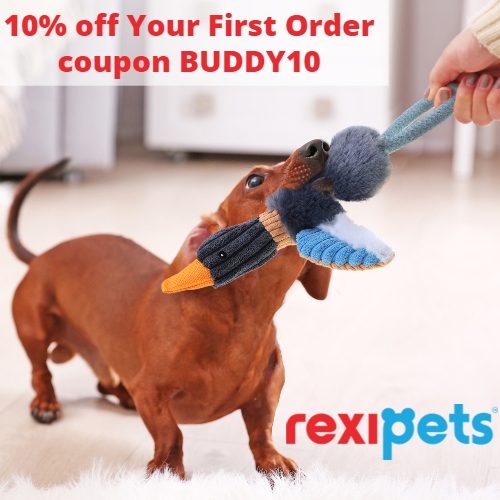 Rexipets Coupon