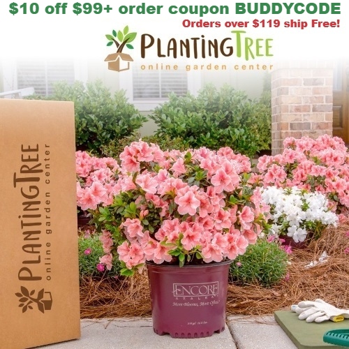 plantingtree coupon