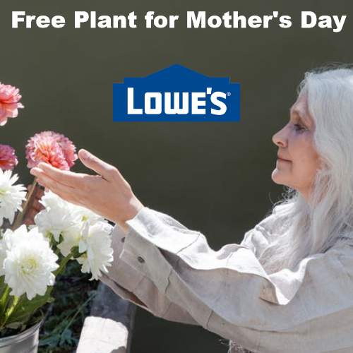 Lowe's Giveaway Free 1Pint Flower for Mother's Day