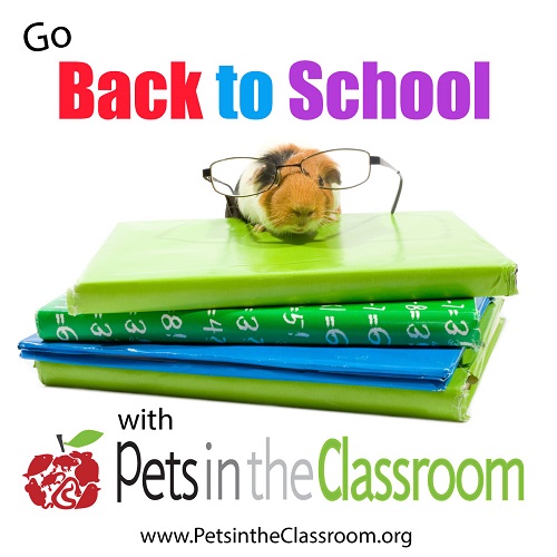 pets in the classroom grants