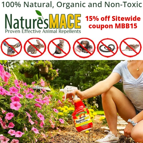 Nature's MACE Coupon