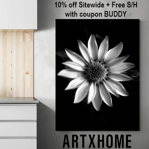 ArtXHome Coupon