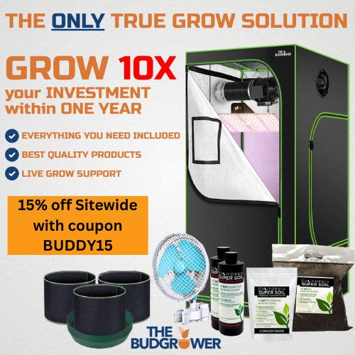 the bud grower coupon