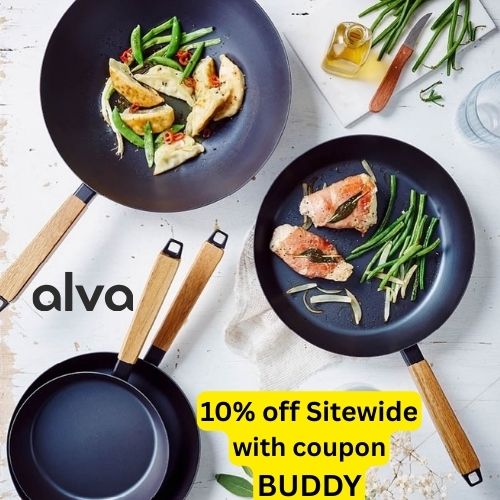 Get 10% off your order at ALVA Cookware with coupon BUDDY
