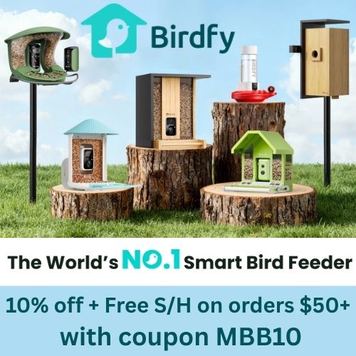 Get 10% off $50 or more + Free Shipping at Bridfy with coupon MBB10
